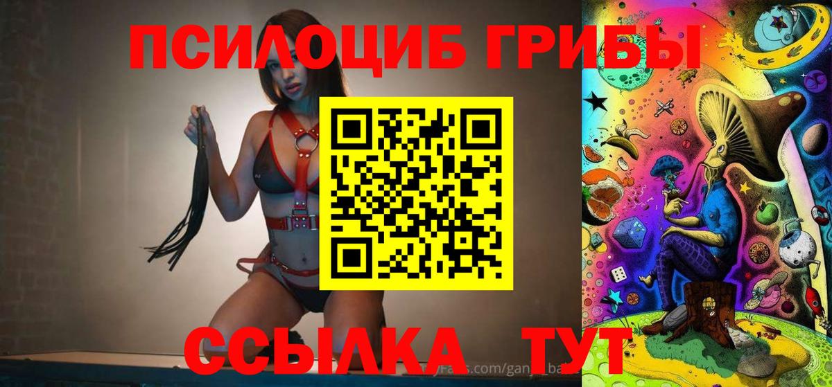 Псилоцибиновые грибы Psilocybine cubensis Камышин