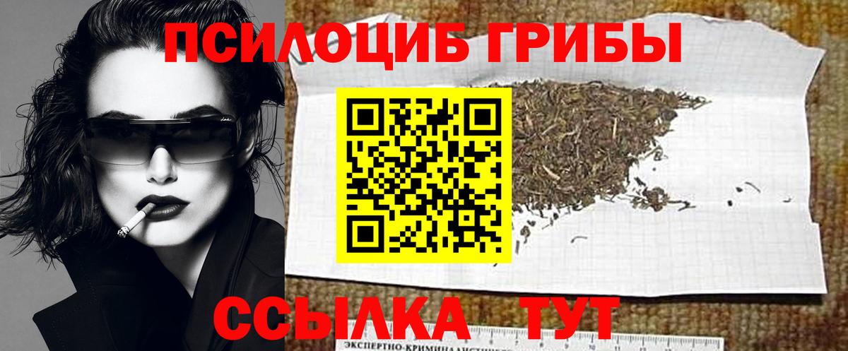 Камышин  Галлюциногенные грибы Magic Shrooms  Вход с VPN 